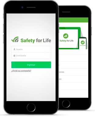 Safety for Life